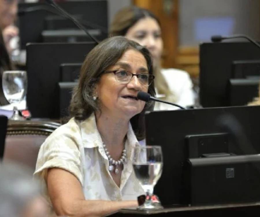 Lucía Corpacci: “No permitan que se venda la patria de esta manera”
