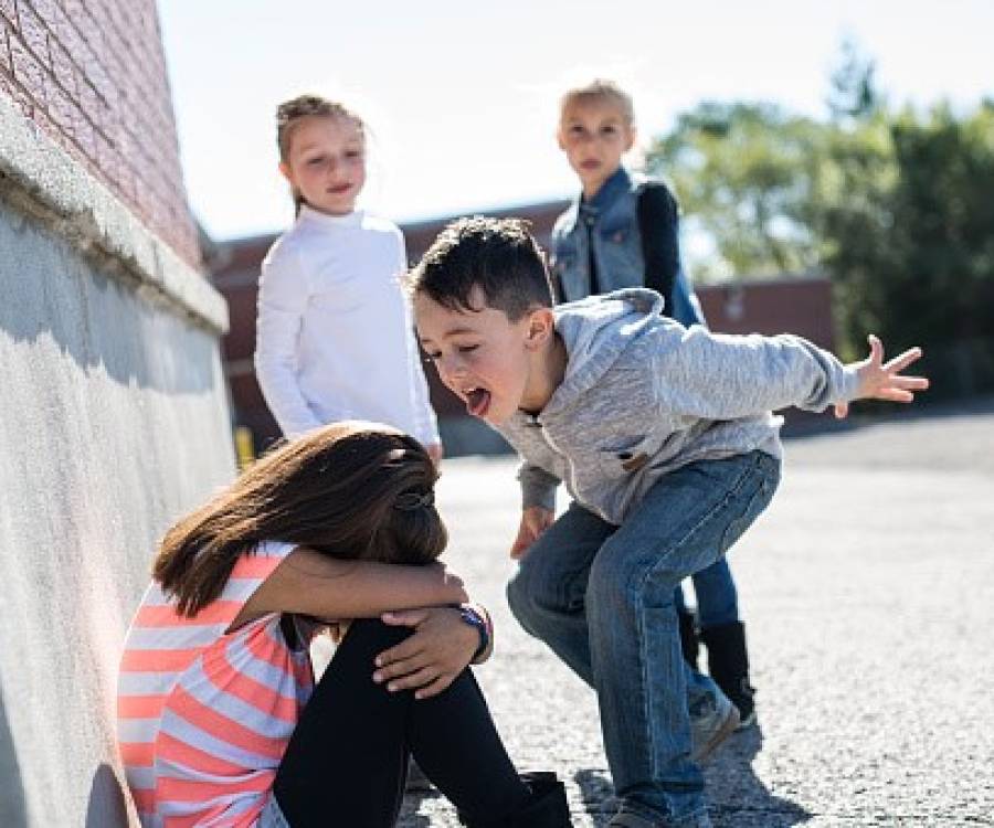 Escuelas de la provincia: Crece la necesidad de contar con herramientas para enfrentar el bullying