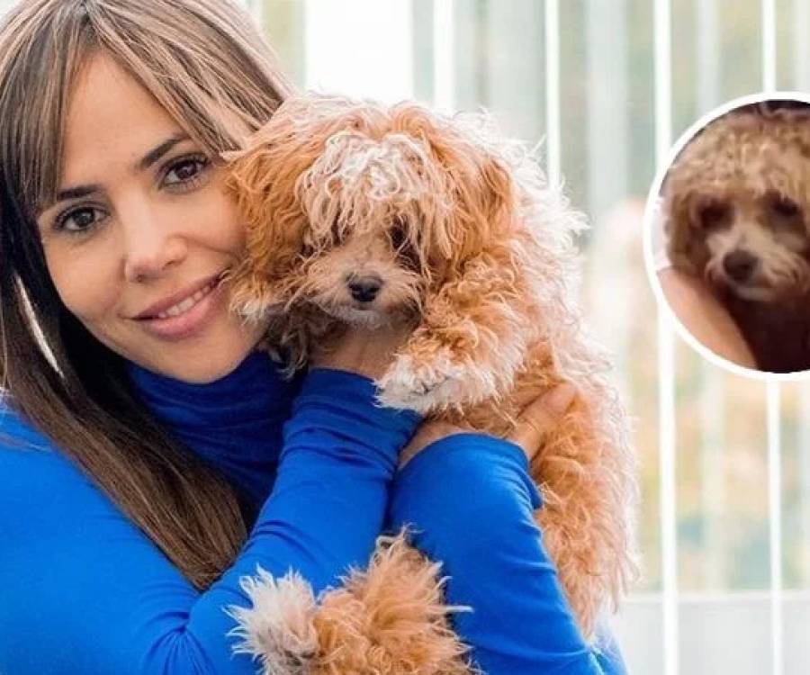 Romina Uhrig acusada de maltrato animal: la foto que revela el terrible estado en que vive su perro