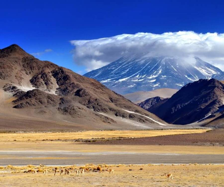 Catamarca y Chile oficializaron la apertura permanente del Paso de San Francisco
