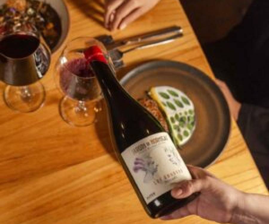 VINOS: Jardín de Hormigas Los Amantes