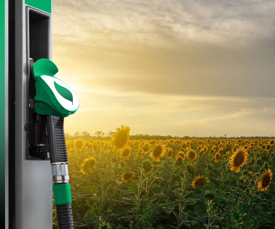 Oficializan nuevos precios para los biocombustibles