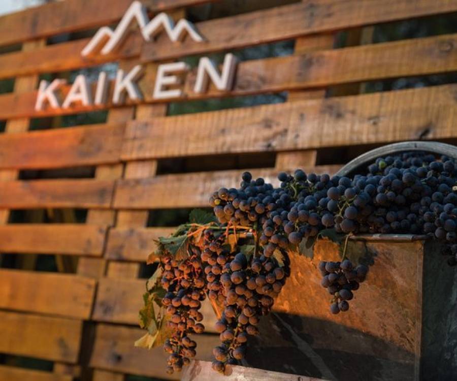 Bodega Kaiken estrena nueva imagen para su línea de vinos espumantes