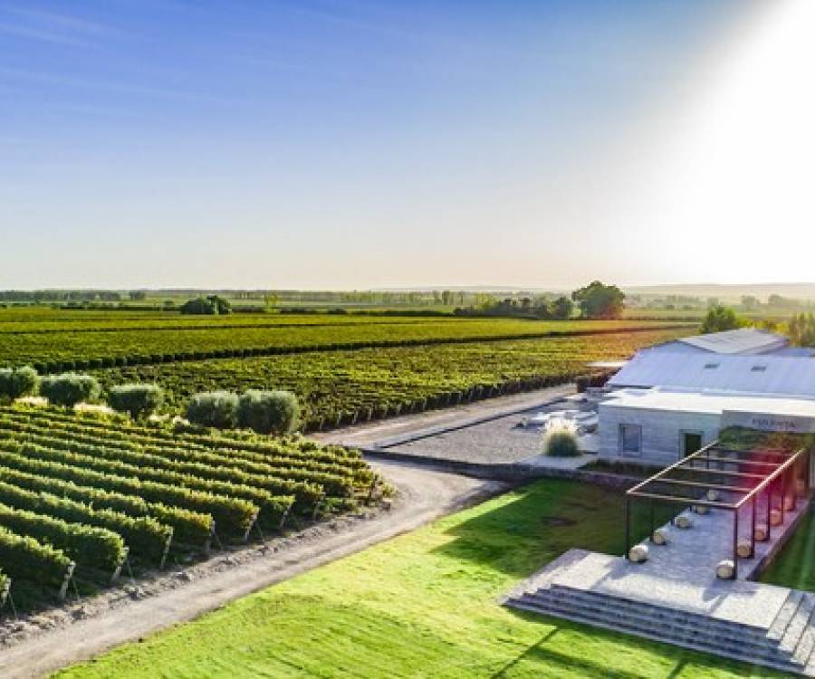 Otra bodega en jaque: despidió a 12 empleados y paraliza la producción de vinos premium