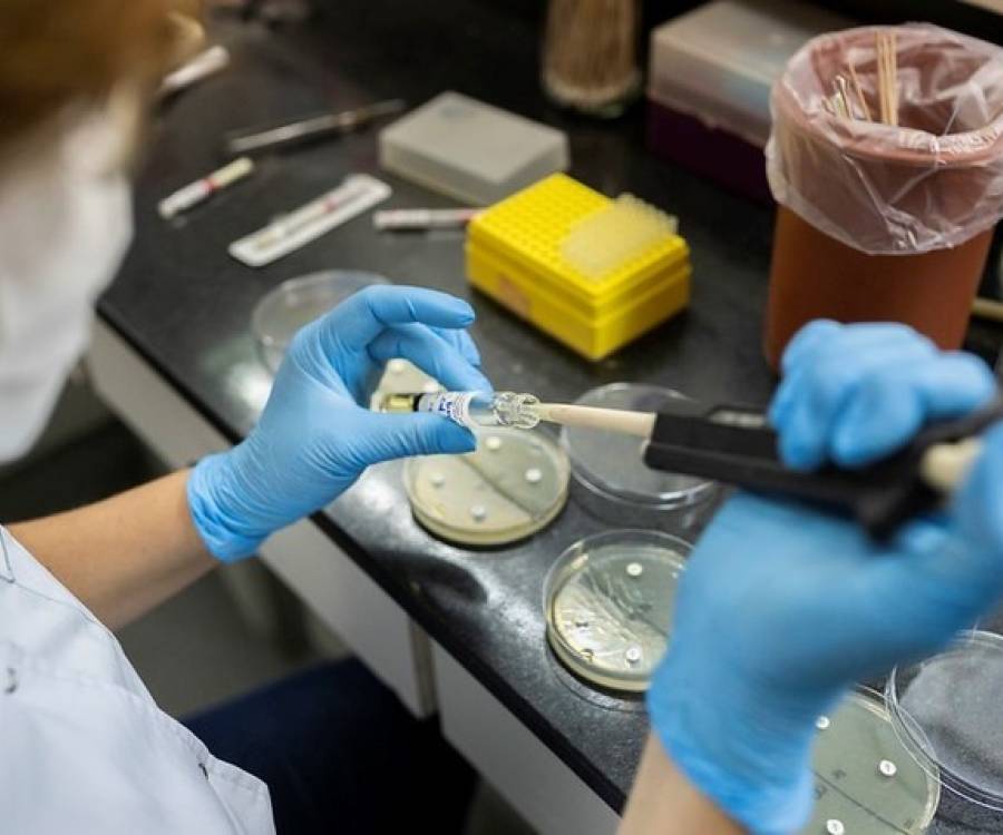 La gripe H3N2 avanza en Argentina y ya investigan como frenarla