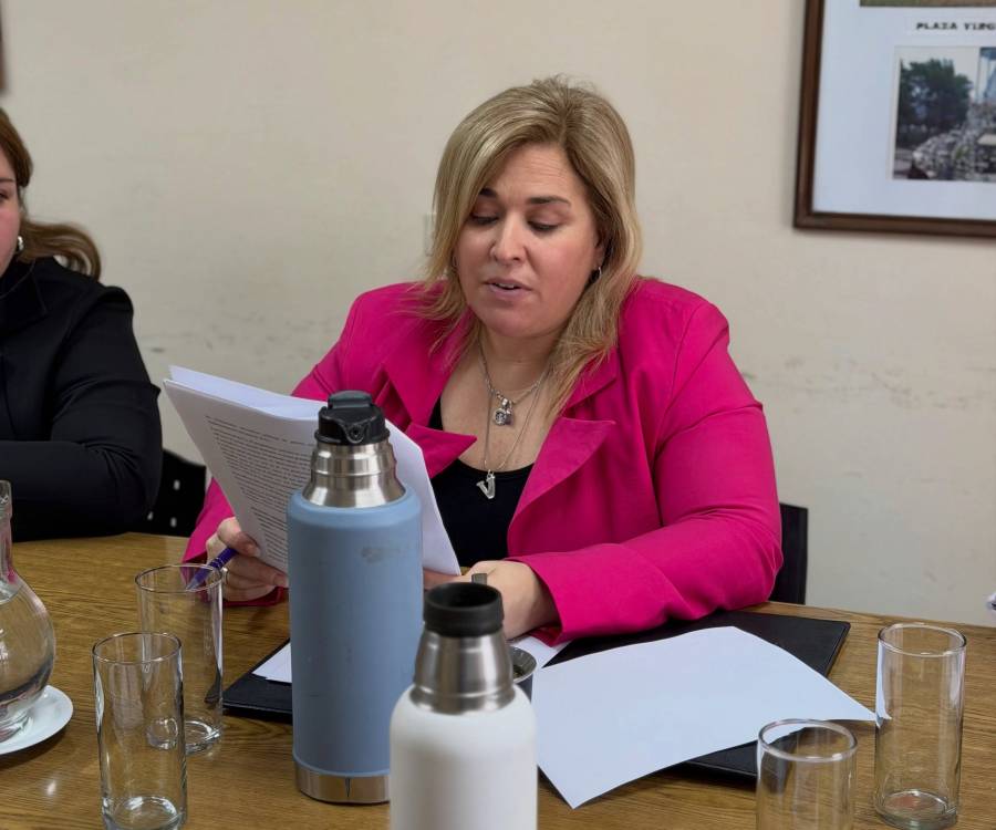 Diputados: se reunió la Comisión de Niñez, Adolescencia y Familia