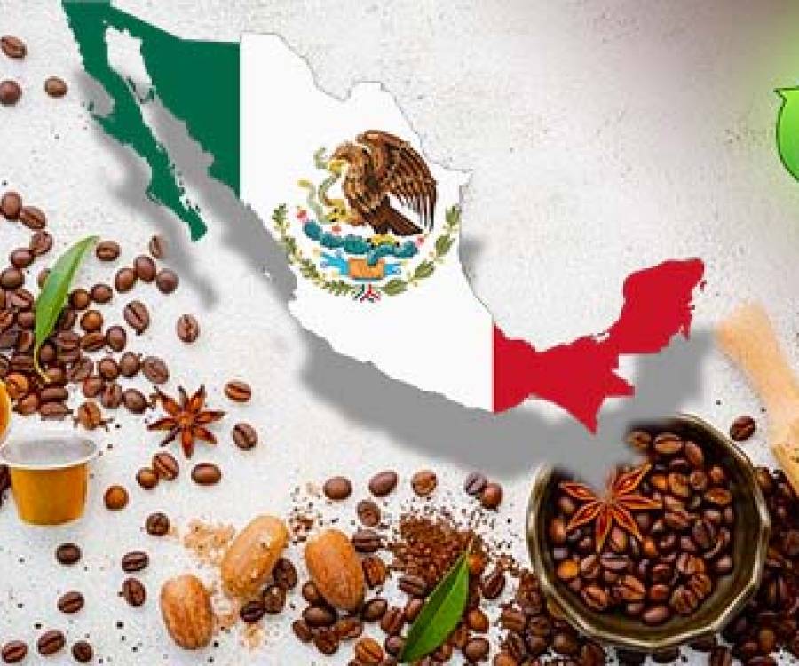 Cambio climático: México podría perder hasta el 90% de su producción de café por culpa de la sequía