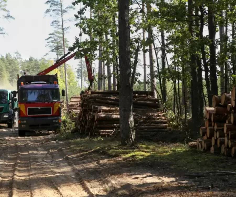 Ni minería ni energía: cuál es el sector tapado que puede atraer inversiones por USD 6.000 millones