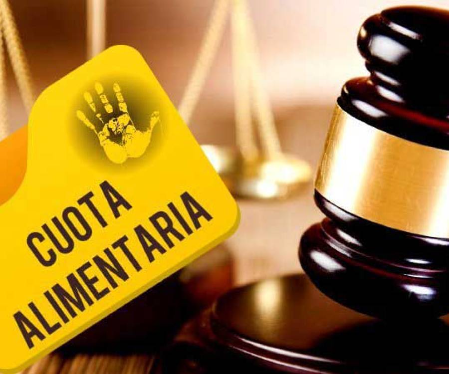 Tik Tok y la cuota alimentaria