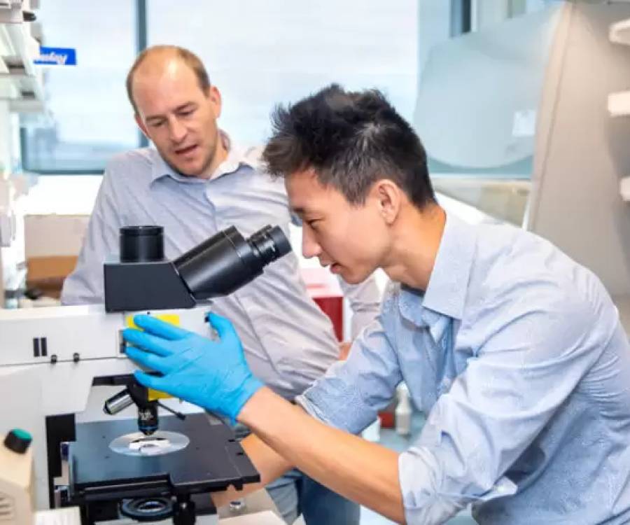 Esta startup recaudó US$ 12,5 para encontrar bacterias que ayuden a combatir el cáncer