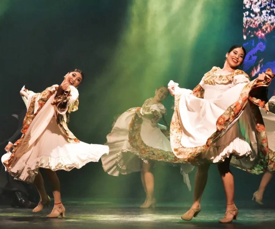 Viva El Poncho!: Comenzó la 53º Fiesta Nacional e Internacional del Poncho