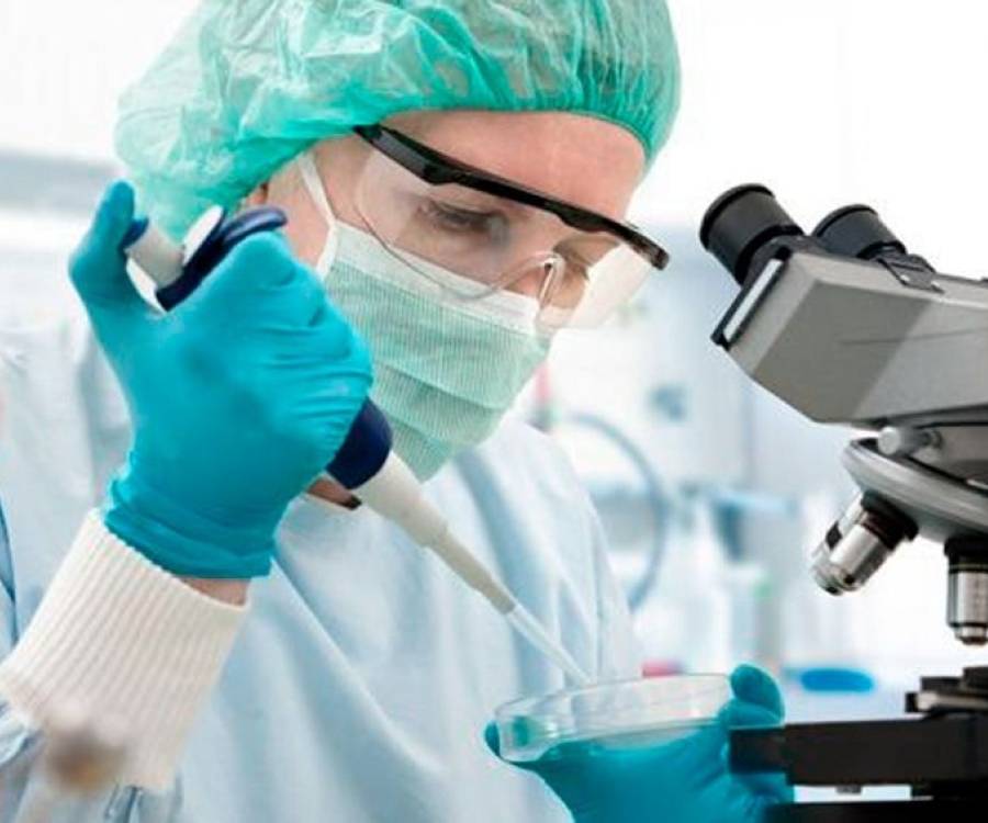Descubren un mecanismo celular que podría explicar la resistencia a terapias contra el cáncer