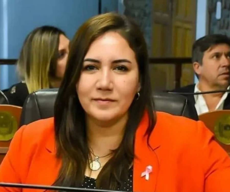 Silvana Carrizo presentó un proyecto de vacunación contra el dengue