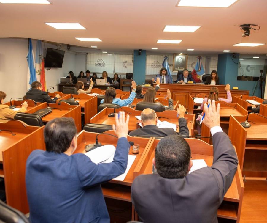 El Senado convirtió en Ley el marco para prevenir y concientizar sobre los juegos y apuestas en línea
