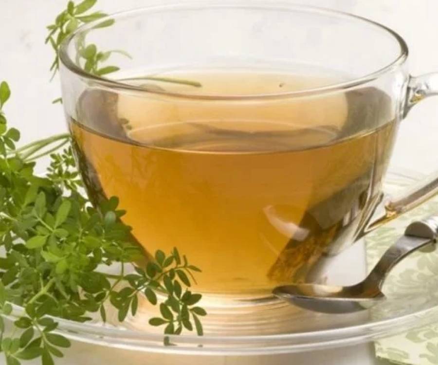 Té de ruda: propiedades y usos de una planta medicinal poderosa