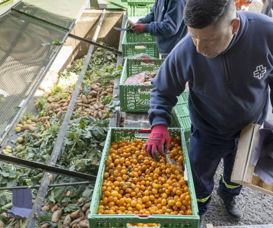 Agronomía de la UBA elaboró propuestas para aprovechar los alimentos que las verdulerías descartan