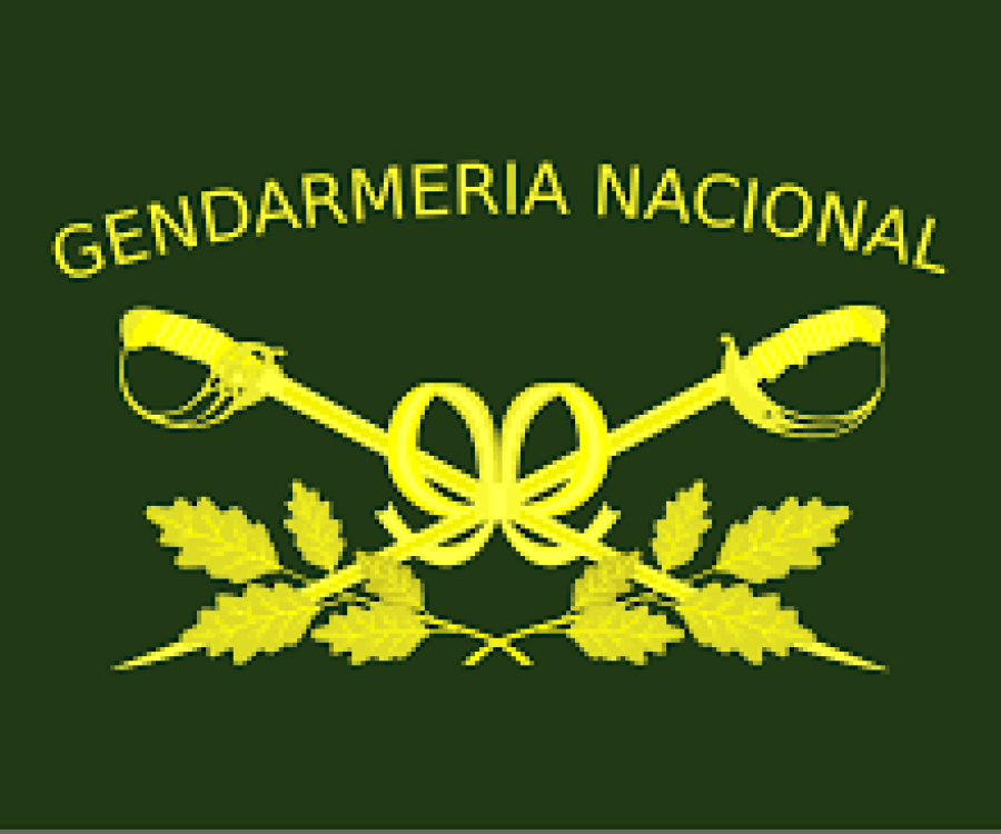 Cuánto ganan los gendarmes de la Argentina en enero de 2025