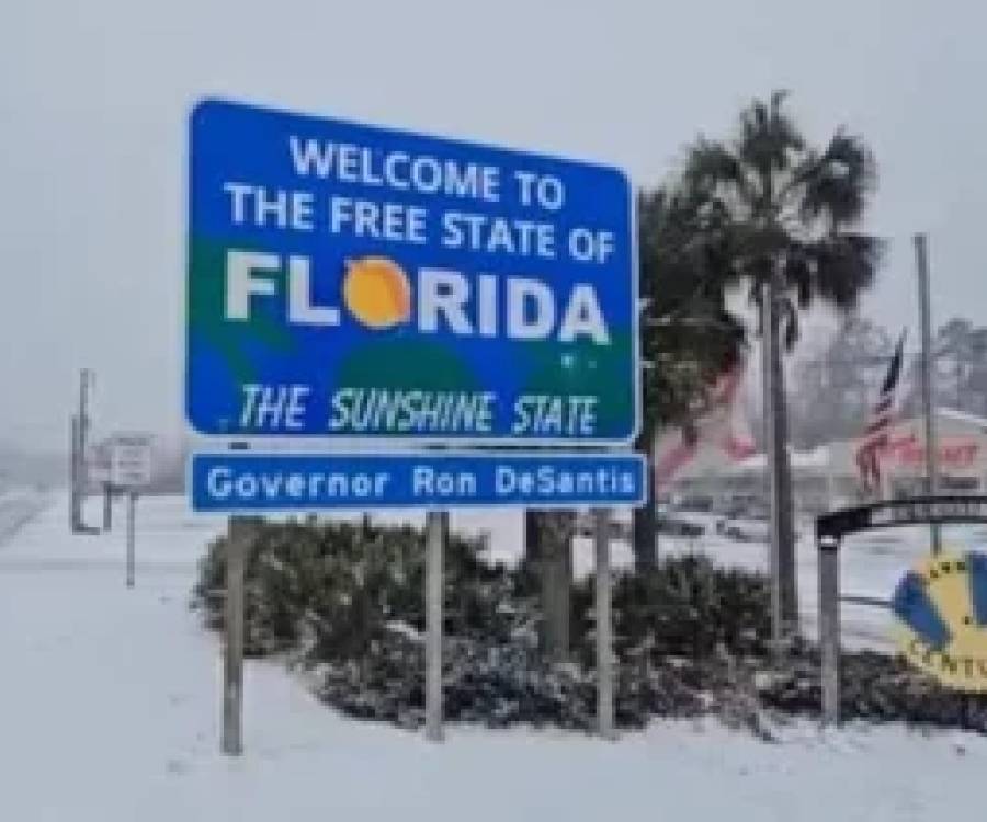 La ola de frío polar provocó una nevada histórica en Florida