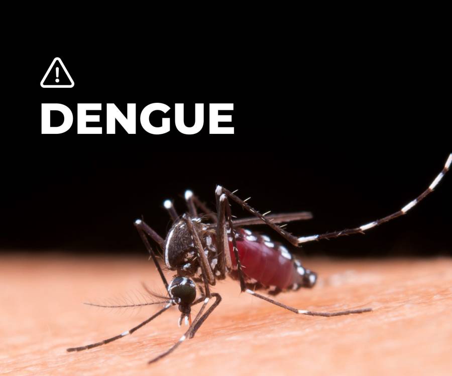 Primer Caso de Dengue en Valle Viejo: activación del protocolo de emergencia