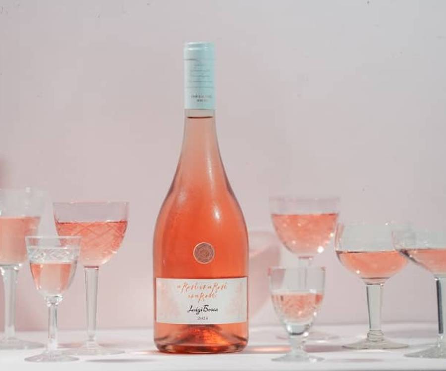 Luigi Bosca Rosé: nueva imagen, misma esencia