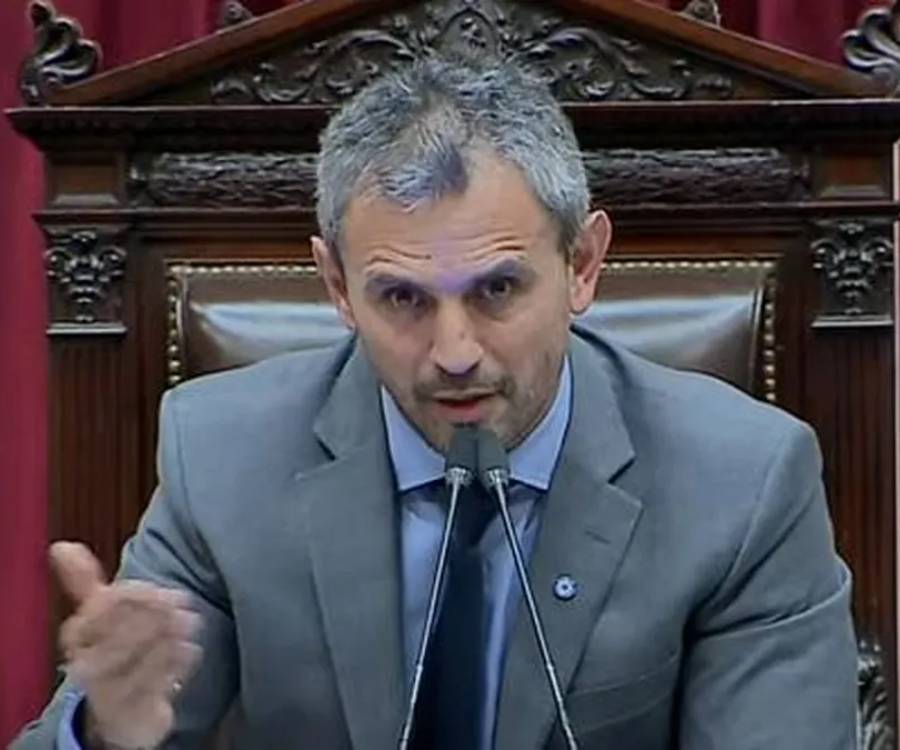 Diputados debatirá este jueves la suspensión de las PASO: el Gobierno no tiene los votos y sigue negociando