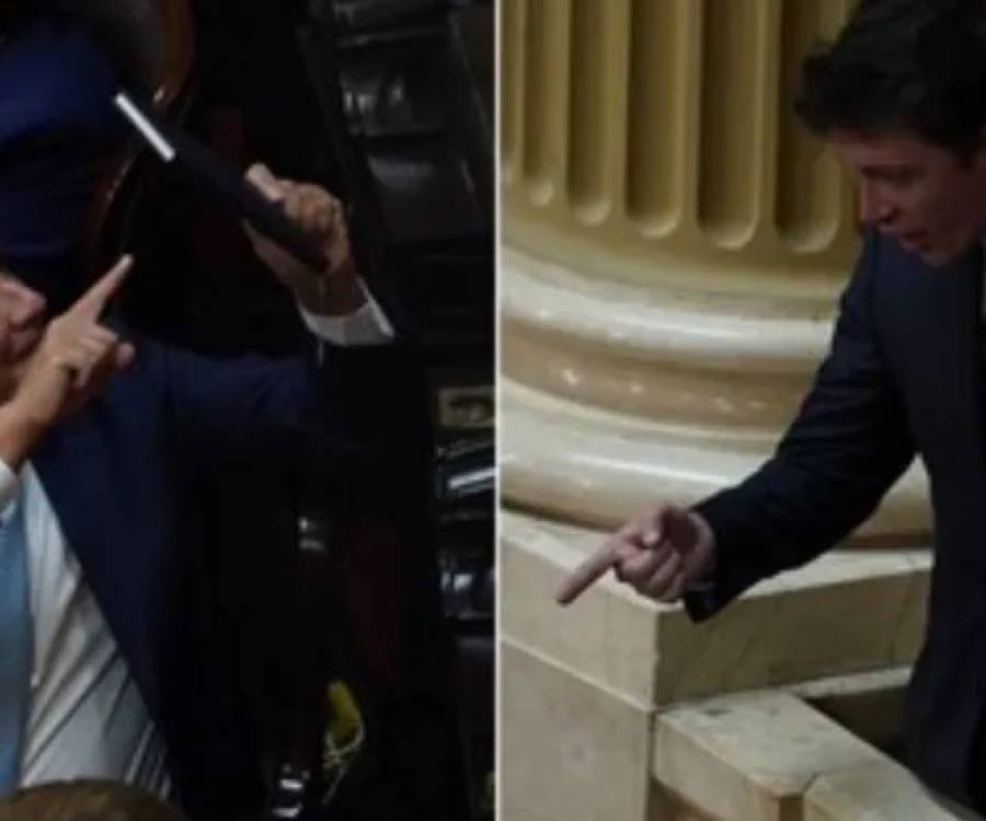 Escándalo: Facundo Manes denuncia que lo golpearon en el Congreso, luego de su cruce con Javier Milei
