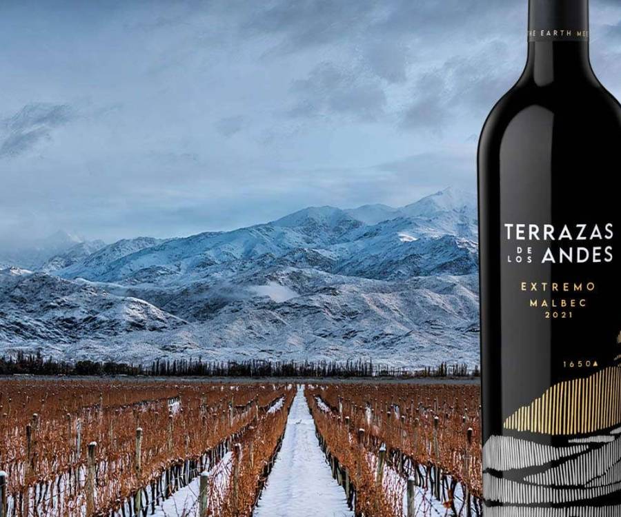 El vino Malbec por el que un comprador pagó más que por un departamento en Puerto Madero