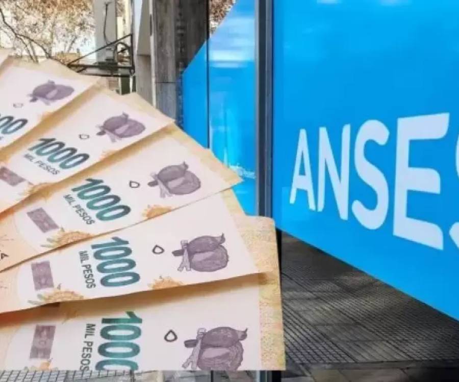 ANSES: ¿Quiénes podrán cobrar el extra de $349.000 en marzo 2025?