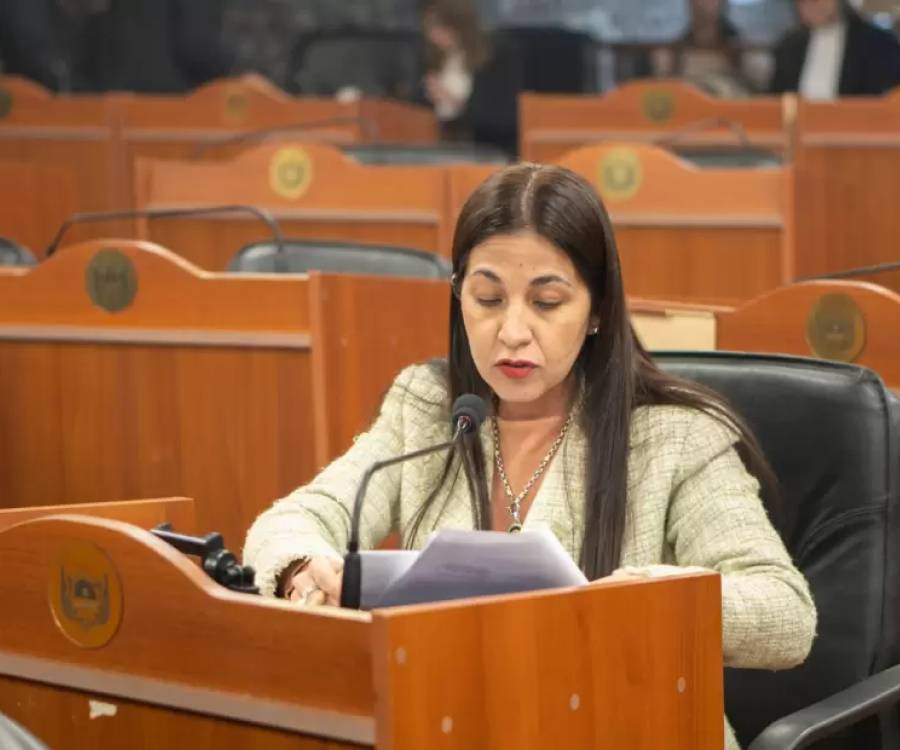 El Senado trata la suspensión de las PASO la próxima semana