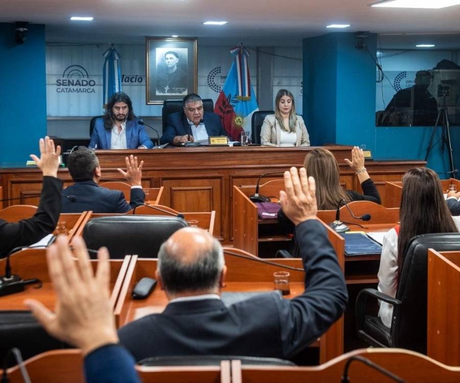 El Senado aprobó por unanimidad la suspensión de las PASO en la provincia