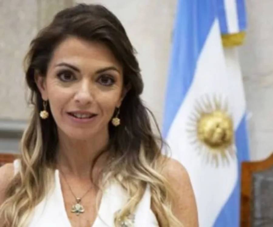 Incidentes en el Congreso: La jueza Andrade defendió su resolución de liberar a los detenidos
