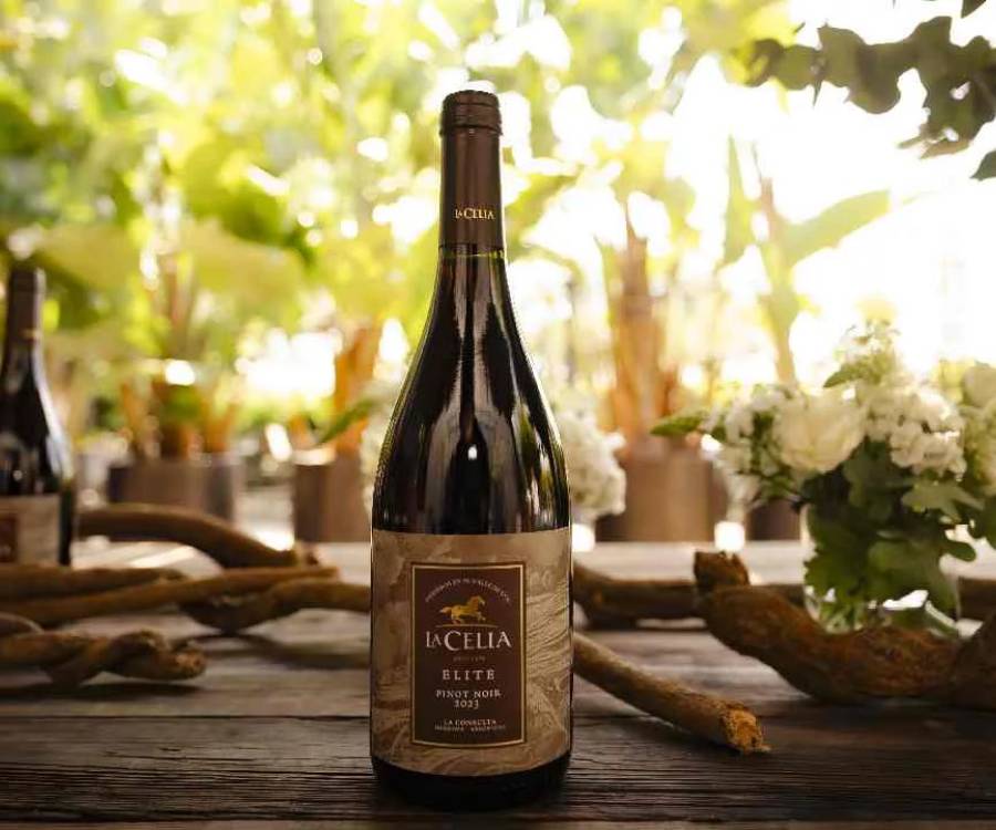 La Celia Elite Pinot Noir 2023 | Bodega La Celia
