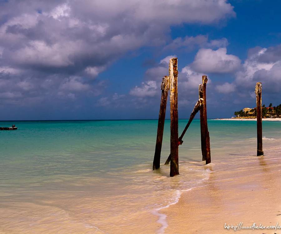 Buen clima todo el año y aguas paradisíacas: Aruba el destino preferido para los amantes de las playas