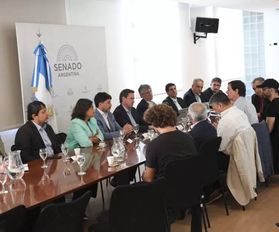 Desde el Senado impulsan proyectos para proteger la cadena de valor textil