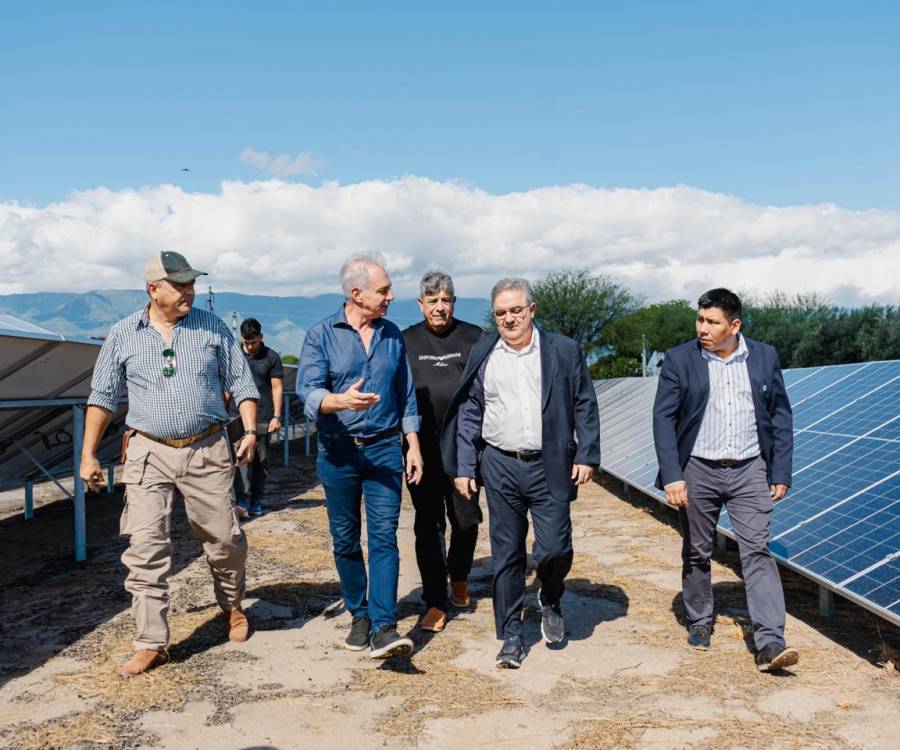 Energía limpia: Olivas al Mundo inauguró sistema de paneles solares que optimiza la producción olivícola
