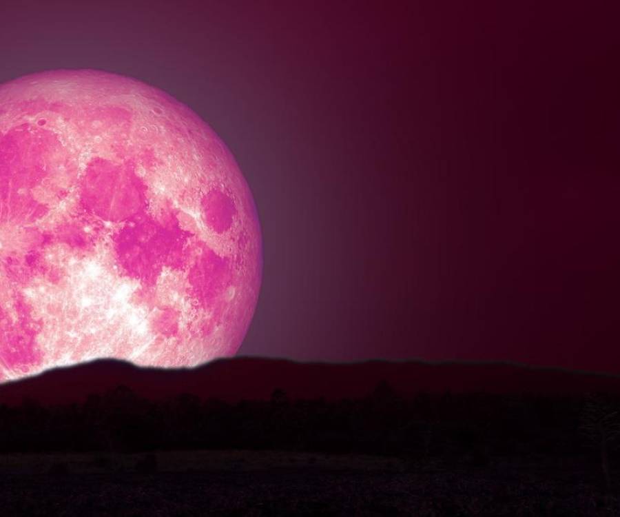 ¿Cuándo y cómo se podrá disfrutar de la Luna rosa en el cielo nocturno?