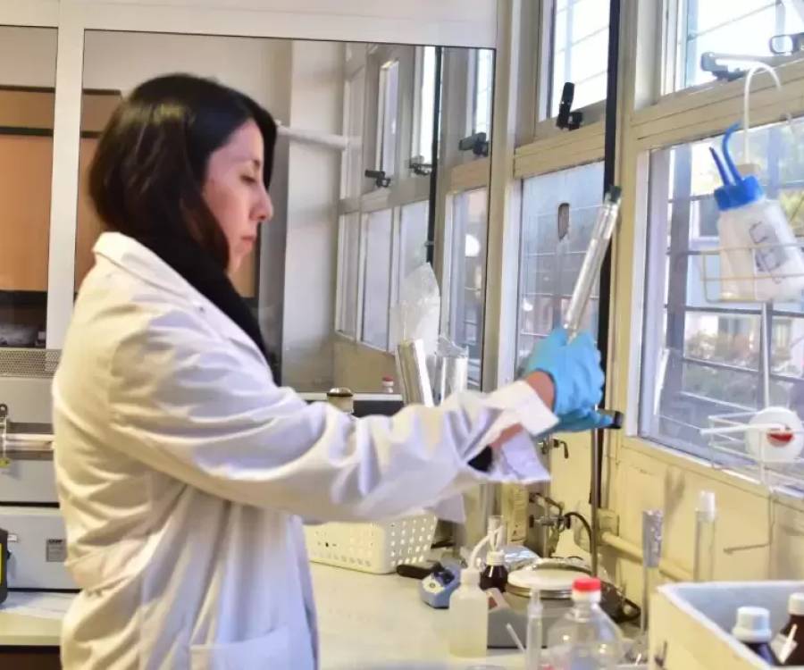 Estudian método alternativo de extracción de litio que disminuye el uso de agua dulce
