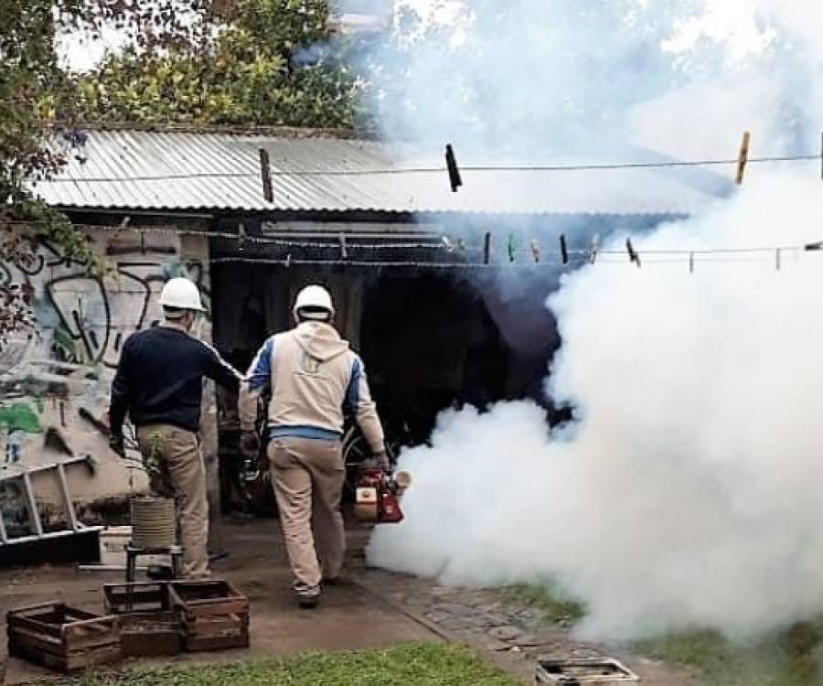 Dengue: operativo de fumigación en la zona norte de la capital