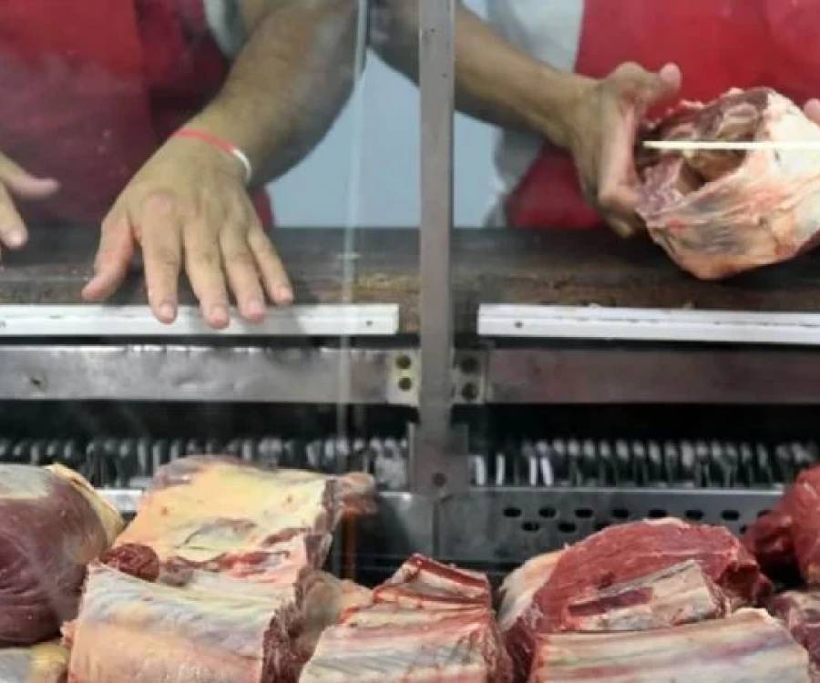 El consumo de carne vacuna cayó un 9,3% y se espera otro derrumbe