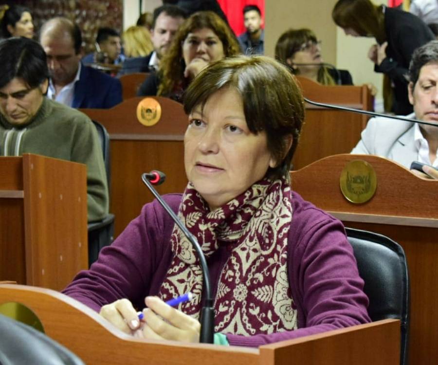 Piden que la Cámara baja rechace los despidos en la delegación de Agricultura Familiar de la Nación