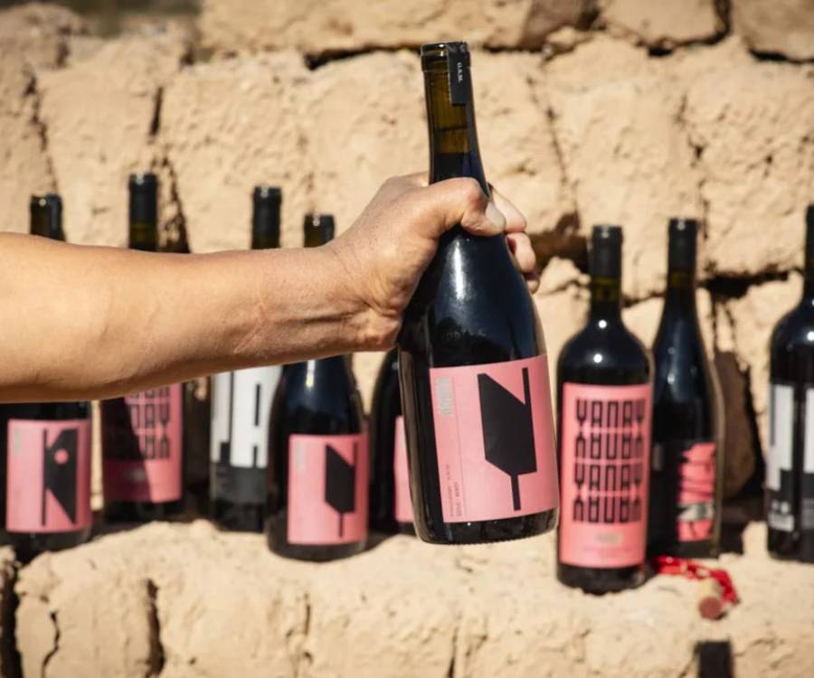 Vinos de Jujuy: cómo es el inédito proyecto que nace en la Quebrada de Humahuaca