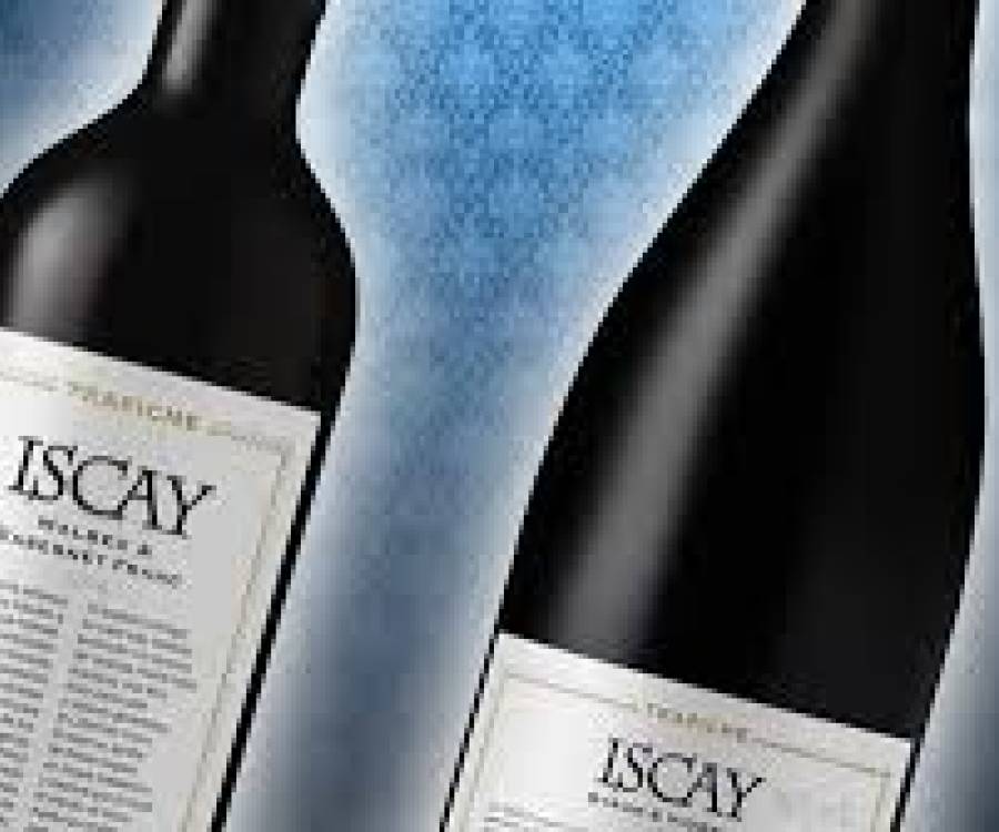 Trapiche Iscay Syrah Viognier