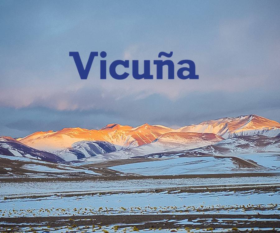 El Gobierno sella un acuerdo con Vicuña Corp: desembolso minero de US$ 18.000 millones