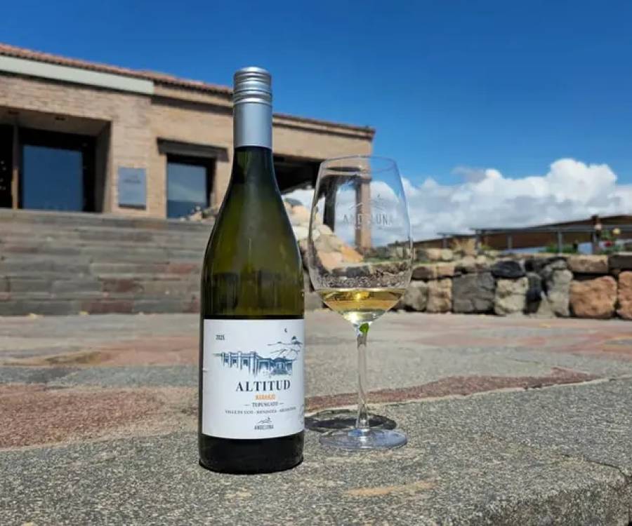 Altitud Naranjo - Una nueva Dimensión del Chardonnay de Montaña