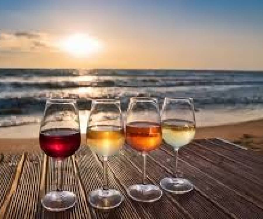 Crece el negocio de los vinos oceánicos: abrió la primera bodega a 10 minutos de Pinamar