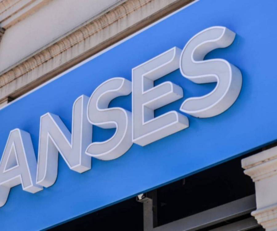 ANSES: El Gobierno lanzó un plan de retiro voluntario para sus empleados 