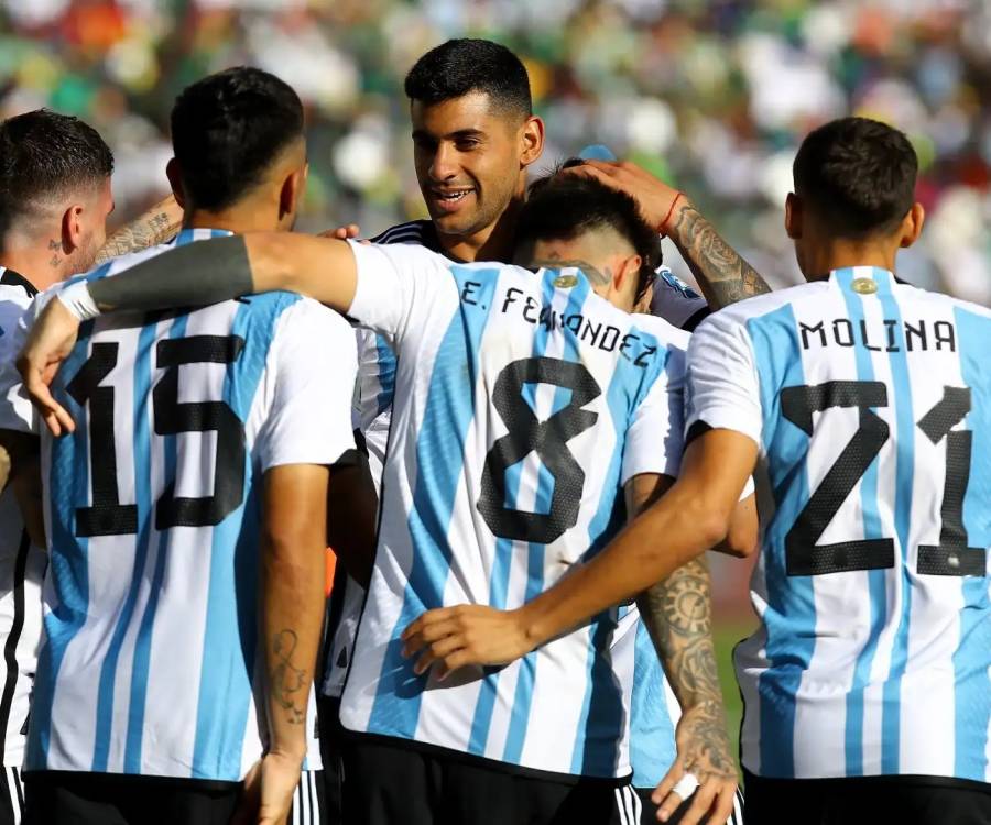 El Mundial por TV Pública: un acceso cada vez más restrictivo y dudas sobre la transmisión de la Selección Argentina