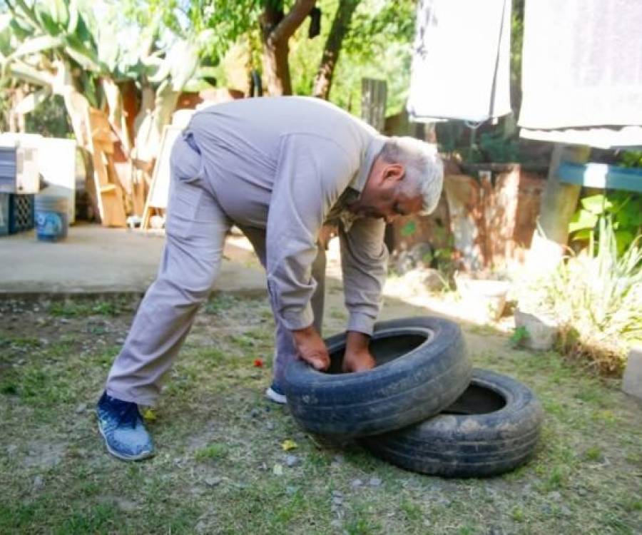 Continuan las acciones preventivas contra el Dengue