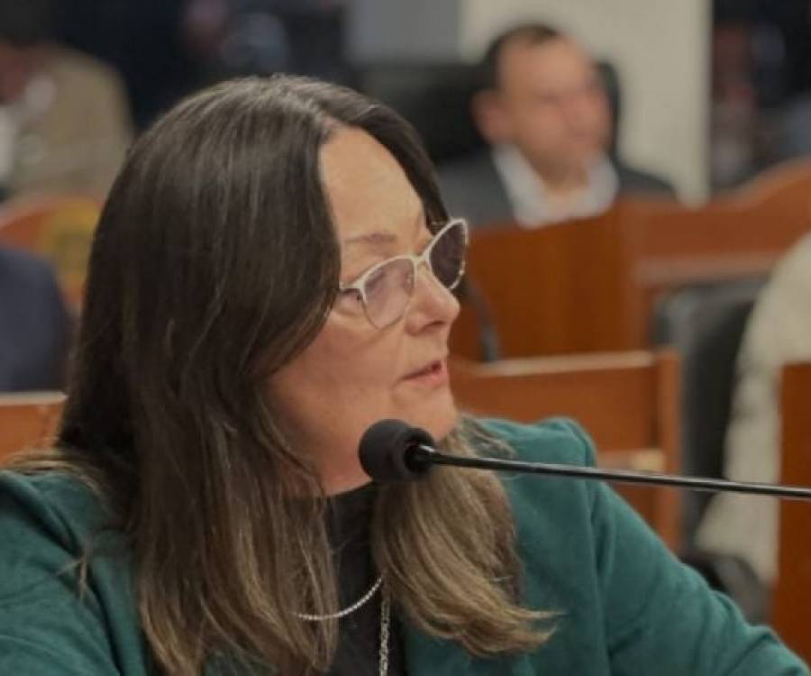 Cámara de Diputados aprobó un proyecto que busca regular la contaminación acústica  