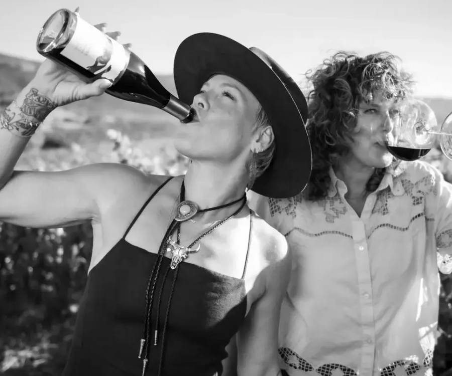 Por qué la cantante P!nk construyó una bodega en California y lo ocultó durante años